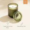 imageLA JOLIE MUSE Eucalyptus ampamp Alpine Sage Candle Scented Candles for Home Candle Gifts for Women ampamp Men Glass Jar Candle 40 Hours Burning Time 7ozPomegranate  Pine