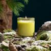 imageLA JOLIE MUSE Eucalyptus ampamp Alpine Sage Candle Scented Candles for Home Candle Gifts for Women ampamp Men Glass Jar Candle 40 Hours Burning Time 7ozStarlit Golden Fir