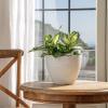 imageLA JOLIE MUSE Flower Pots Outdoor Indoor Garden PlantersPlant Pots Containers with Drain Hole Speckled White 86 inch 1 PackWhite