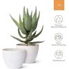 imageLA JOLIE MUSE Flower Pots Outdoor Indoor Planter  142 inch  142 inchGarden Plant Pots Tree Planter for Patio DeckGardenSpeckled WhiteSet of 2