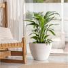 imageLA JOLIE MUSE Flower Pots Outdoor Indoor Planter  142 inch  142 inchGarden Plant Pots Tree Planter for Patio DeckGardenSpeckled WhiteSet of 2