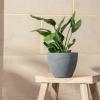 imageLA JOLIE MUSE Flower Pots Outdoor Indoor Planter  142 inch Garden Pots Tree Planter for Patio DeckGardenRock GraySet of 2