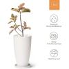 imageLA Jolie Muse 20 inch Round Tall PlanterIndoorOutdoor White Planter with Drainage Holes and TraysModern Large Flower Pot for Front DoorBalcony and Garden Patio DeckPack 1