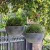 imageLA Jolie Muse Hanging Planter  10 Inch Hanging Planters for Indoor Plants Hanging Pots for Plants Indoor Outdoor Set of 2 WhiteGray