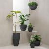 imageLA Jolie Muse Hanging Planter  10 Inch Hanging Planters for Indoor Plants Hanging Pots for Plants Indoor Outdoor Set of 2 WhiteSpeckled Black
