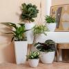 imageLA Jolie Muse Hanging Planter  10 Inch Hanging Planters for Indoor Plants Hanging Pots for Plants Indoor Outdoor Set of 2 WhiteSpeckled White