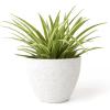 imageLA JOLIE MUSE Flower Pots Outdoor Indoor Garden PlantersPlant Pots Containers with Drain Hole Speckled White 86 inch 1 PackWhite