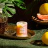 imageLA JOLIE MUSE Kyoto Vine ampamp Moss Candle Candle Gifts for Women ampamp Men Natural Soy Candles for Home Scented Luxury Jar Candles 70 Hours Long Burning 10ozYuzu  Neroli Blossom