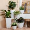 imageLA JOLIE MUSE Large Hanging Planters for Outdoor Plants  13 Inch Hanging Flower Pots Set of 2 Speckled WhiteSpeckled White