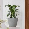 imageLA JOLIE MUSE Outdoor Indoor Tree Planters  14 Inch Large Planter Flower Pots Containers Plant Pots Storm Gray Honeycomb