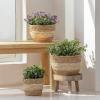 imageLa Jole Muse Seagrass Planter Basket Indoor Flower Pots Cover Plant Containers Natural3Pack 102quot87quot67quotBeige