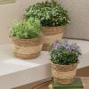 imageLa Jole Muse Seagrass Planter Basket Indoor Flower Pots Cover Plant Containers Natural3Pack 102quot87quot67quotBeige