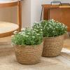 imageLa Jole Muse Seagrass Planter Basket Indoor Flower Pots Cover Plant Containers Natural3Pack 102quot87quot67quotBrown