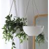 imageLa Jolie Muse White Hanging Planter Basket  8 Inch Indoor Outdoor Flower Pots Plant Containers W Drainage Hole Plant Pot for Hanging Plants Pack 2White