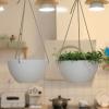 imageLa Jolie Muse White Hanging Planter Basket  8 Inch Indoor Outdoor Flower Pots Plant Containers W Drainage Hole Plant Pot for Hanging Plants Pack 2White