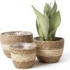 imageLa Jole Muse Seagrass Planter Basket Indoor Flower Pots Cover Plant Containers Natural3Pack 102quot87quot67quotBeige