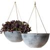 imageLa Jolie Muse White Hanging Planter Basket  8 Inch Indoor Outdoor Flower Pots Plant Containers W Drainage Hole Plant Pot for Hanging Plants Pack 2Gray