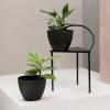 imageLA JOLIE MUSE Outdoor Planter Flower Pots Outdoor 113 Inch Planter with Drainage for Indoor Outdoor Plants Flowers Black Set of 2Black
