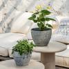 imageLA JOLIE MUSE Outdoor Planter Flower Pots Outdoor 113 Inch Planter with Drainage for Indoor Outdoor Plants Flowers Black Set of 2Marble Grey