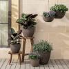 imageLA JOLIE MUSE Outdoor Planter Flower Pots Outdoor 113 Inch Planter with Drainage for Indoor Outdoor Plants Flowers Black Set of 2New Iron