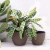 imageLA JOLIE MUSE Outdoor Planter Flower Pots Outdoor 113 Inch Planter with Drainage for Indoor Outdoor Plants Flowers Black Set of 2New Iron
