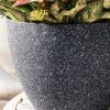 imageLA JOLIE MUSE Outdoor Planter Flower Pots Outdoor 113 Inch Planter with Drainage for Indoor Outdoor Plants Flowers Black Set of 2Speckled Black