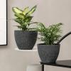 imageLA JOLIE MUSE Outdoor Planter Flower Pots Outdoor 113 Inch Planter with Drainage for Indoor Outdoor Plants Flowers Black Set of 2Speckled Black