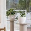 imageLA JOLIE MUSE Outdoor Planter Flower Pots Outdoor 113 Inch Planter with Drainage for Indoor Outdoor Plants Flowers Black Set of 2Speckled White