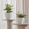 imageLA JOLIE MUSE Outdoor Planter Flower Pots Outdoor 113 Inch Planter with Drainage for Indoor Outdoor Plants Flowers Black Set of 2Speckled White