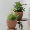 imageLA JOLIE MUSE Outdoor Planter Flower Pots Outdoor 113 Inch Planter with Drainage for Indoor Outdoor Plants Flowers Black Set of 2Terracotta