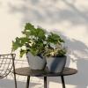 imageLA JOLIE MUSE Outdoor Planter Flower Pots Outdoor 113 Inch Planter with Drainage for Indoor Outdoor Plants Flowers Black Set of 2Weathered Grey