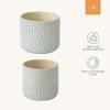 imageLa Jolie Muse Ceramic Planter Flower Plant Pots 6755 Inch Concave Dot Patterned Cylinder Flower Pot W Drain Hole for Indoor Set of 2 IvoryGlacier Gray
