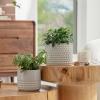 imageLa Jolie Muse Ceramic Planter Flower Plant Pots 6755 Inch Concave Dot Patterned Cylinder Flower Pot W Drain Hole for Indoor Set of 2 IvoryGlacier Gray