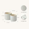 imageLa Jolie Muse Ceramic Planter Flower Plant Pots 6755 Inch Concave Dot Patterned Cylinder Flower Pot W Drain Hole for Indoor Set of 2 IvoryGlacier Gray
