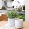 imageLa Jolie Muse Ceramic Planter Flower Plant Pots 6755 Inch Concave Dot Patterned Cylinder Flower Pot W Drain Hole for Indoor Set of 2 IvoryGlacier Gray