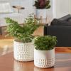 imageLa Jolie Muse Ceramic Planter Flower Plant Pots 6755 Inch Concave Dot Patterned Cylinder Flower Pot W Drain Hole for Indoor Set of 2 IvoryIvory