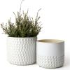 imageLa Jolie Muse Ceramic Planter Flower Plant Pots 6755 Inch Concave Dot Patterned Cylinder Flower Pot W Drain Hole for Indoor Set of 2 IvoryGlacier Gray