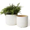 imageLa Jolie Muse Ceramic Planter Flower Plant Pots 6755 Inch Concave Dot Patterned Cylinder Flower Pot W Drain Hole for Indoor Set of 2 IvoryIvory