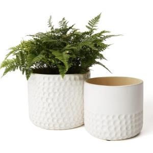 imageLa Jolie Muse Ceramic Planter Flower Plant Pots 6755 Inch Concave Dot Patterned Cylinder Flower Pot W Drain Hole for Indoor Set of 2 IvoryIvory