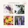 imageLA JOLIE MUSE Christmas Candles Pine ampamp Pomegranate Candle Candle Gift for Holiday Luxury Candle for Home 70 Hours Long Burning TimeNatural Soy CandleLavender Lilac