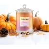 imageLA JOLIE MUSE Christmas Candles Pine ampamp Pomegranate Candle Candle Gift for Holiday Luxury Candle for Home 70 Hours Long Burning TimeNatural Soy CandlePumpkin