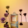 imageLA JOLIE MUSE Christmas Candles Pine ampamp Pomegranate Candle Candle Gift for Holiday Luxury Candle for Home 70 Hours Long Burning TimeNatural Soy CandleRose Noir  Oud