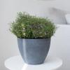 imageLa Jolie Muse Flower Pots Outdoor Planters Indoor Modern Garden Planters W Drain HoleWeathered Grey86 inches Pack 1A86 Inch Weathered Grey