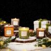 imageLA JOLIE MUSE Champs de Tuberose Scented Candle Gardenia Candles Gifts for Women Ylang Ylang Candles for Home Scented Natural Wax Candle 75 Hours Long BurningStarlit Golden Fir