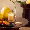 imageLA JOLIE MUSE Tomato ampamp Vine Scented Candle Luxury Candles Gifts for Women Spring Candles for Home Scented Natural Soy Wax Candle 6 oz 40 Hours BurnYuzu  Neroli Blossom
