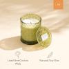 imageLA JOLIE MUSE Tomato ampamp Vine Scented Candle Luxury Candles Gifts for Women Spring Candles for Home Scented Natural Soy Wax Candle 6 oz 40 Hours BurnStarlit Golden Fir