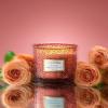 imageLA JOLIE MUSE Pumpkin Candle Fall Candles for Home Scented Large 2Wick Soy Candles Candle Gifts for Women ampamp Men Luxury Jar Candles 60 Hours Long Burning Pumpkin Chai 12ozSantal Rose