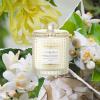 imageLA JOLIE MUSE Citrus Mint Candle Summer Candles for Home Scented Luxury Eucalyptus Candles Gifts for Women ampamp Men Natural Soy Wax 75 Hours 10 OZChamps de Tuberose