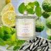 imageLA JOLIE MUSE Citrus Mint Candle Summer Candles for Home Scented Luxury Eucalyptus Candles Gifts for Women ampamp Men Natural Soy Wax 75 Hours 10 OZCitrus Mint