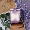 imageLA JOLIE MUSE Citrus Mint Candle Summer Candles for Home Scented Luxury Eucalyptus Candles Gifts for Women ampamp Men Natural Soy Wax 75 Hours 10 OZLavender Suede